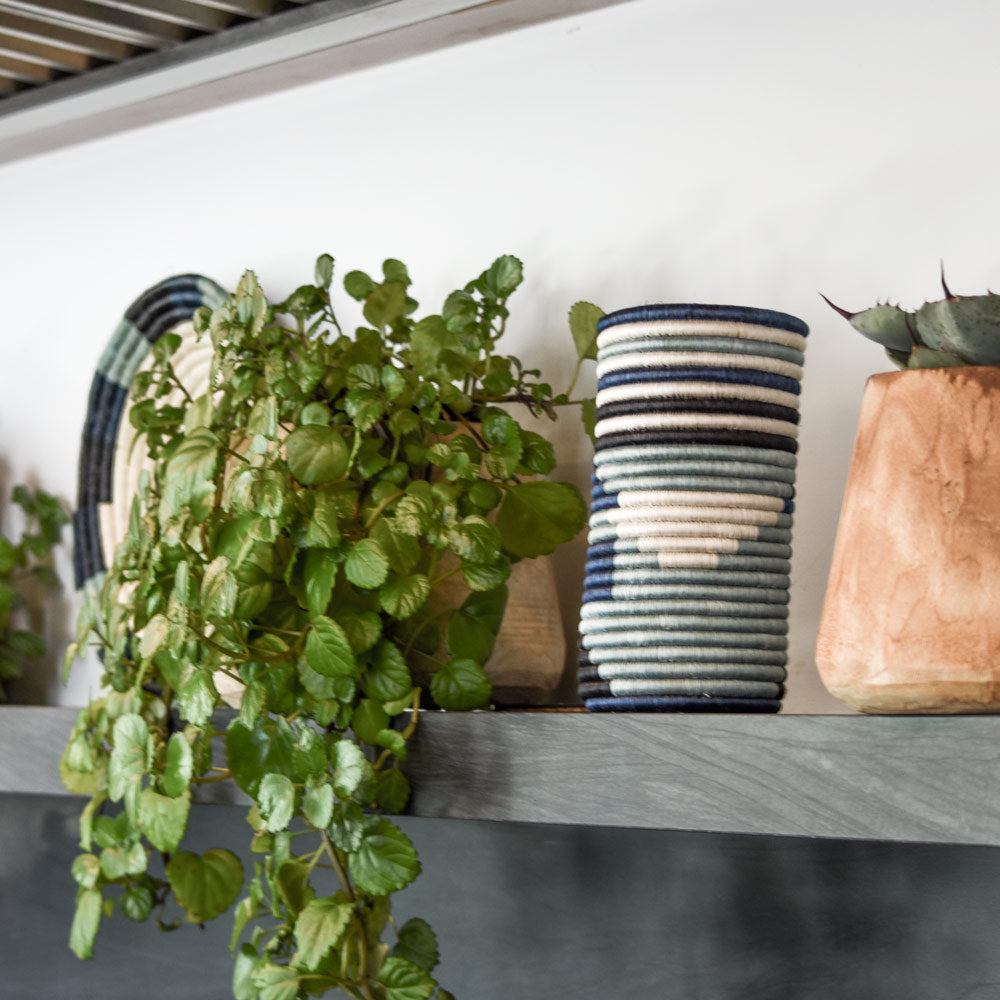 Houseplants on a shelf